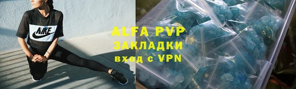 трава Корсаков