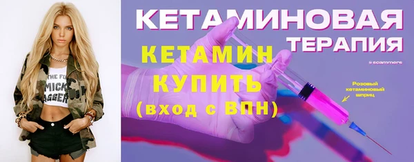 трава Корсаков