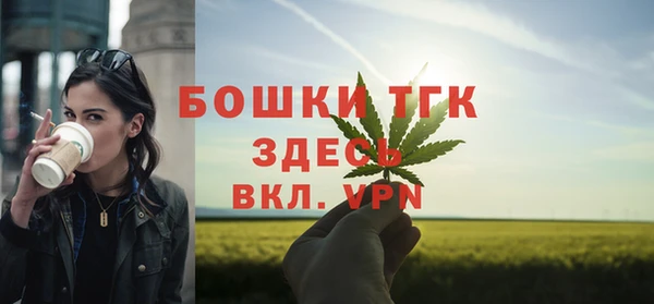 трава Корсаков