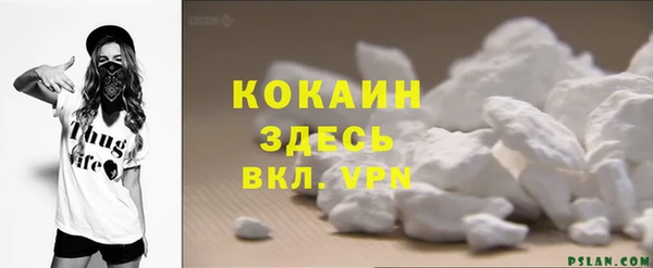 трава Корсаков