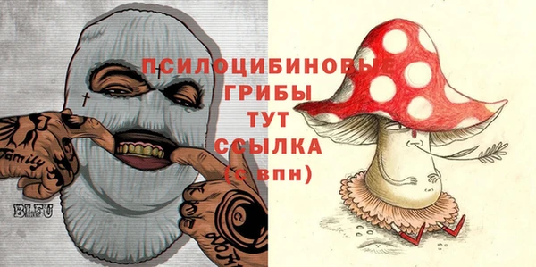 стаф Костерёво