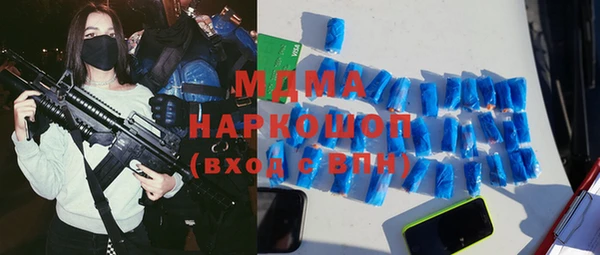 трава Корсаков