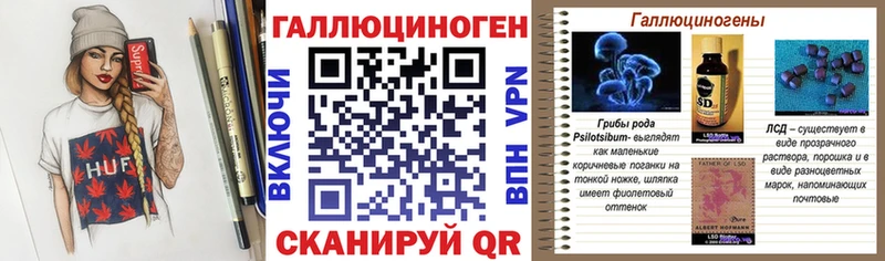 Купить закладки  Улан-Удэ  Галлюциногенные грибы мицелий 